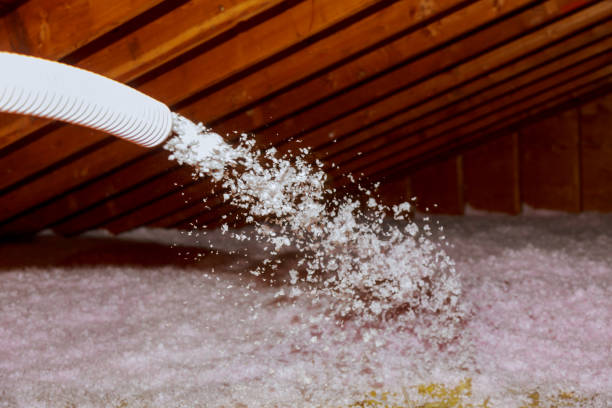 Best Commercial Insulation in Atlanta, TX