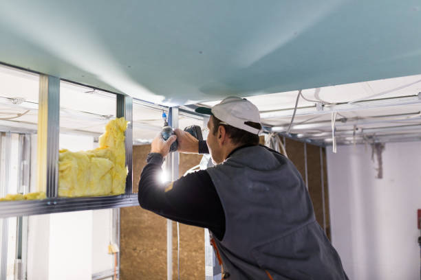 Best Eco-Friendly Insulation in Atlanta, TX