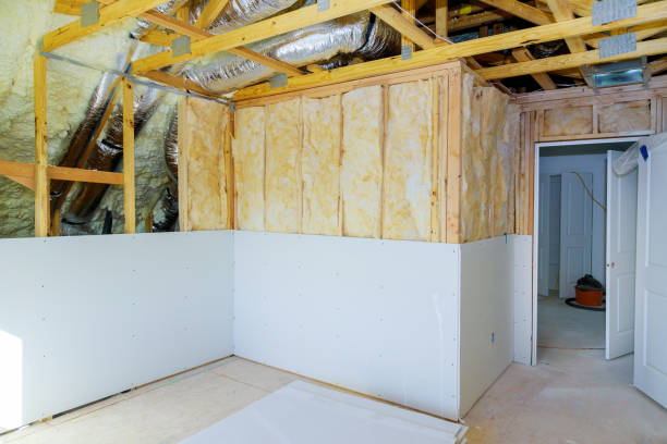 Best DIY Insulation Kits and Guidance in Atlanta, TX