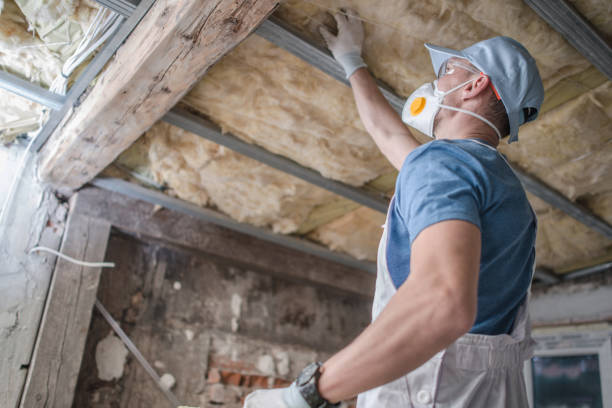 Best Energy Efficiency Insulation in Atlanta, TX