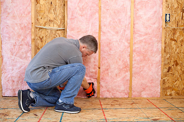 Best Residential Insulation in Atlanta, TX
